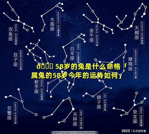 🐞 58岁的兔是什么命格「属兔的58岁今年的运势如何」